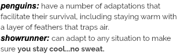 penguins: have a number of adaptations that facilitate their survival, including staying warm with a layer of feathers that traps air. showrunner: can adapt to any situation to make sure you stay cool...no sweat.
